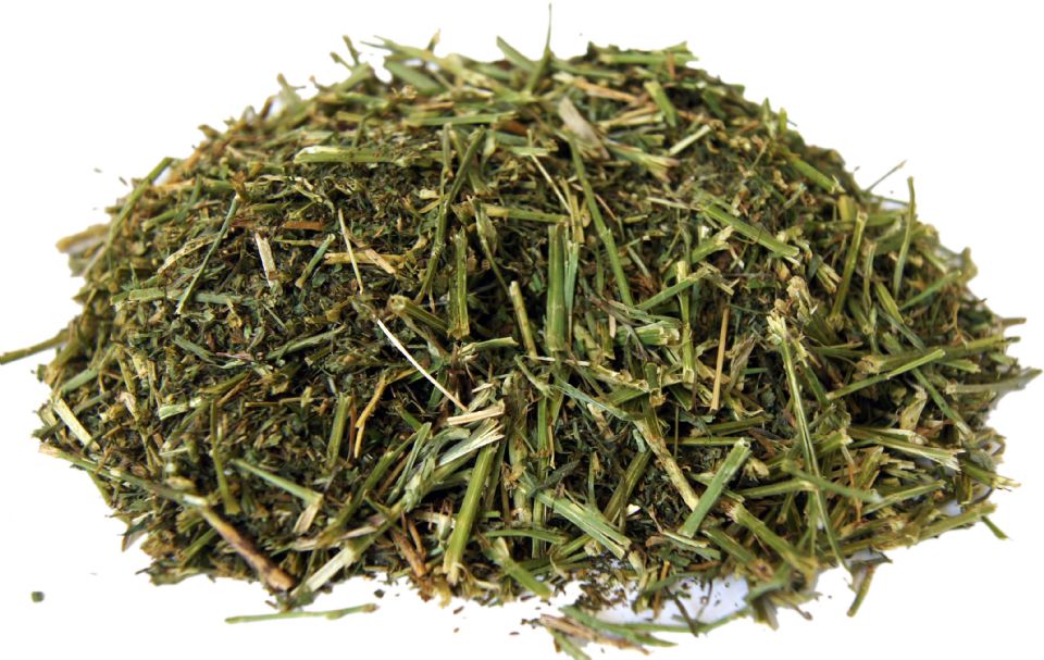 GreenGold Pure Molasses Free Lucerne (Alfalfa) Chop